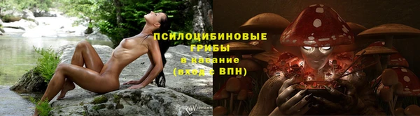 марки lsd Алзамай