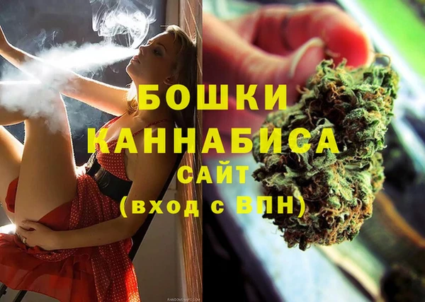 Альфа ПВП Нягань